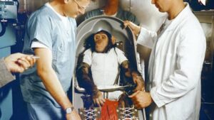 ethical-dilemmas-in-space-the-unprotected-journey-of-animals