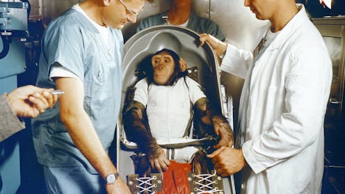ethical-dilemmas-in-space-the-unprotected-journey-of-animals