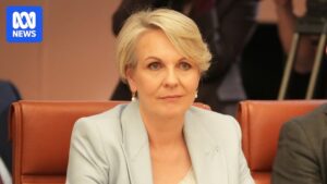 federal-court-rules-plibersek-approved-water-plan-without-review