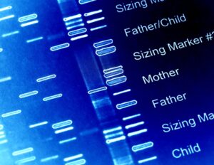 genetic-differences-in-bovine-embryos-may-revolutionize-ivf-and-drug-development