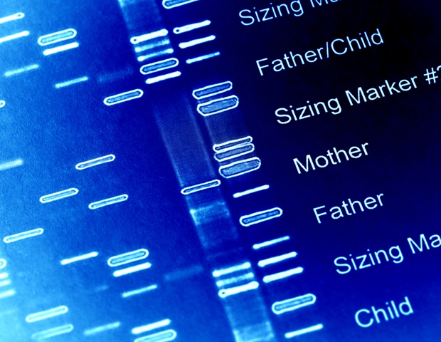 genetic-differences-in-bovine-embryos-may-revolutionize-ivf-and-drug-development