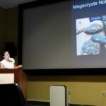 geology-student-explores-diamond-formation-in-deep-earth-study
