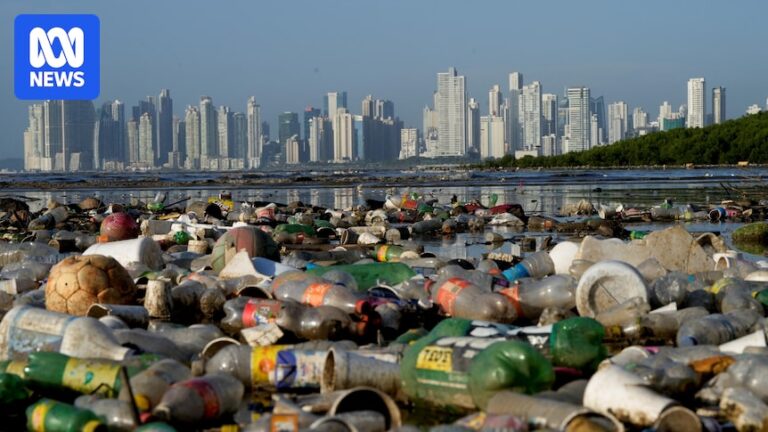 global-plastic-treaty-talks-collapse-amid-deep-divisions