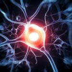 griffith-university-begins-pioneering-trial-for-spinal-cord-injury-treatment