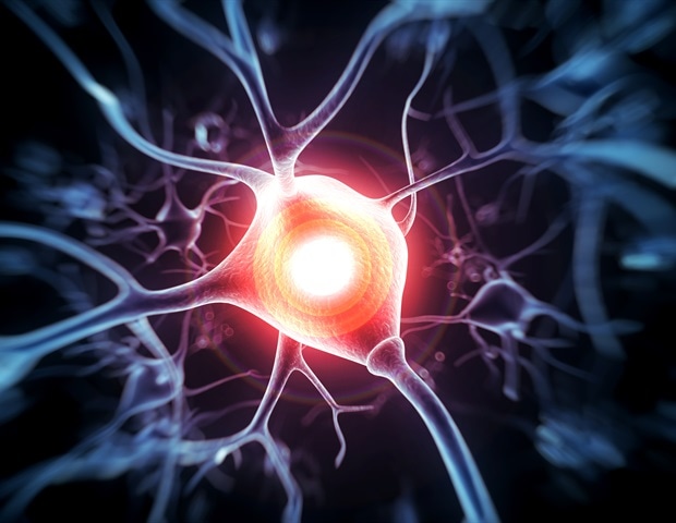 griffith-university-begins-pioneering-trial-for-spinal-cord-injury-treatment