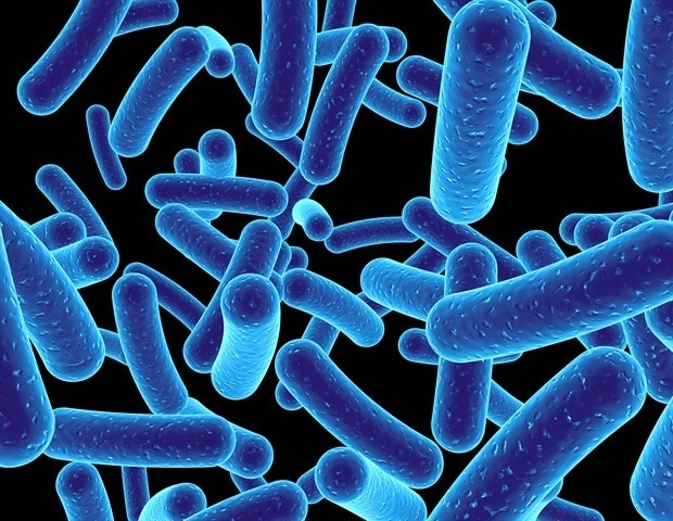 gut-bacteria-linked-to-insomnia-new-study-reveals-bidirectional-relationship
