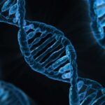 hobart-s-high-ms-rates-could-dna-hold-the-key-to-prevention-