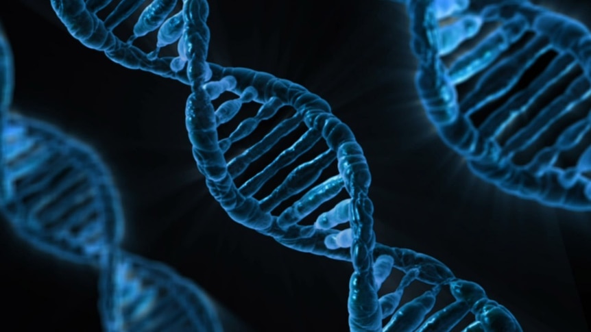 hobart-s-high-ms-rates-could-dna-hold-the-key-to-prevention-