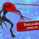 inaturalist-s-google-partnership-sparks-backlash-amid-ai-concerns