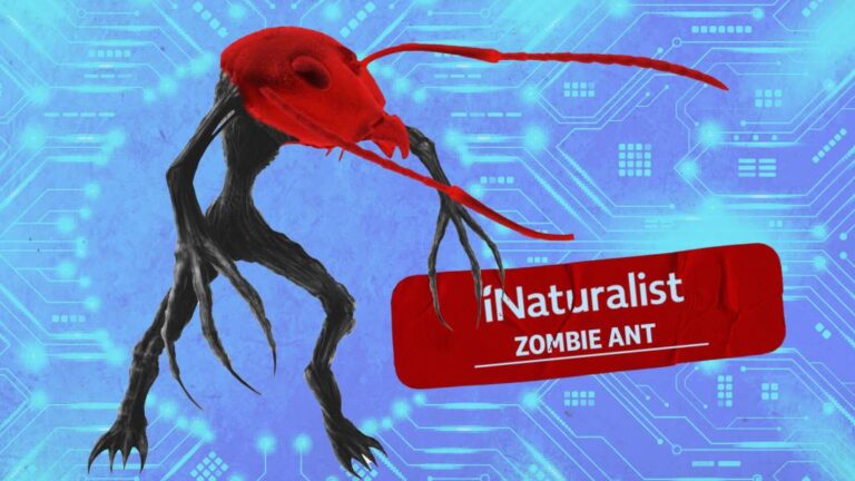 inaturalist-s-google-partnership-sparks-backlash-amid-ai-concerns