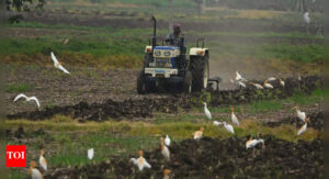 indian-farmers-seek-protection-amid-global-agricultural-import-pressures