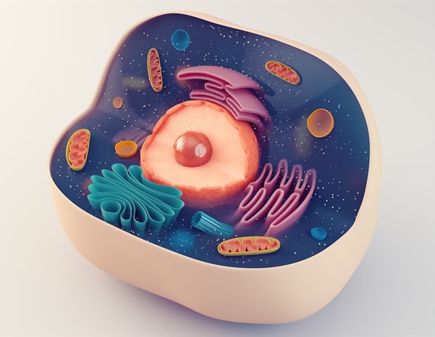 innovative-software-mimics-cellular-behavior-accelerating-medical-research
