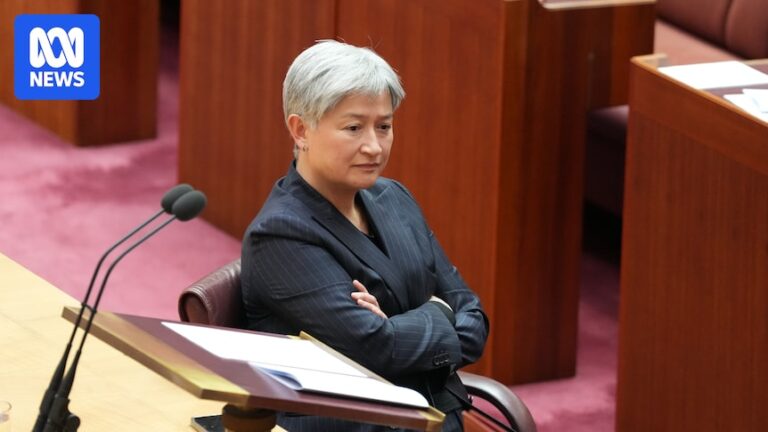 international-pressure-mounts-on-australia-over-palestinian-state-recognition