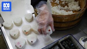 japan-s-rice-market-opens-to-us-imports-amid-economic-and-cultural-tensions