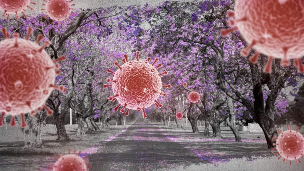 limited-covid-19-vaccine-options-in-australia-raise-concerns