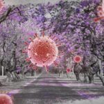 limited-covid-19-vaccine-options-in-australia-raise-concerns