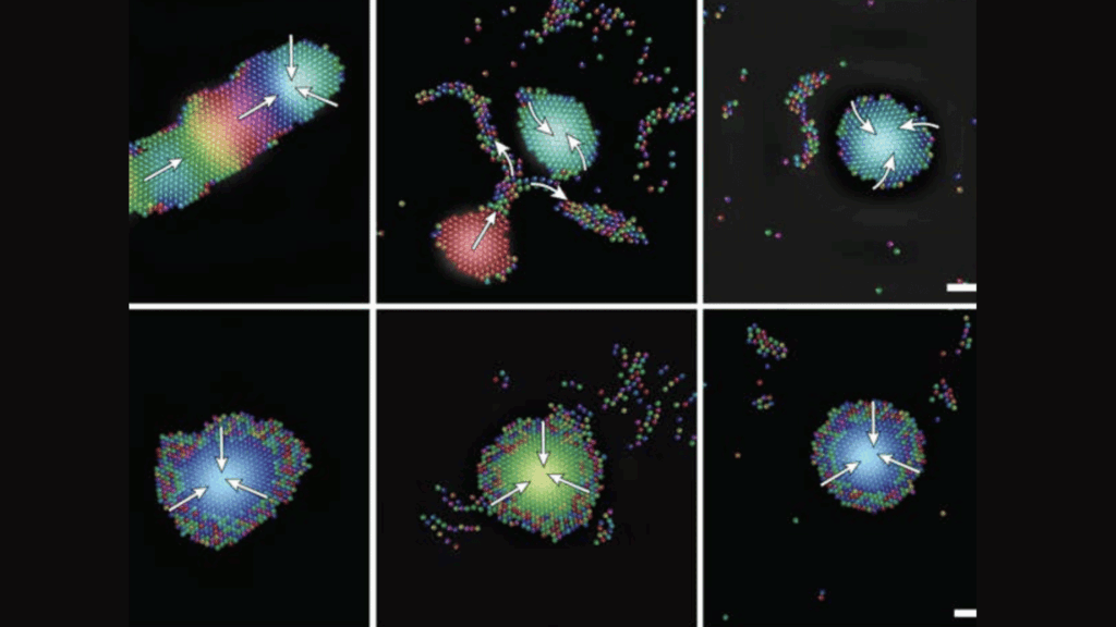 micro-robots-harness-sound-waves-for-self-organization-breakthrough