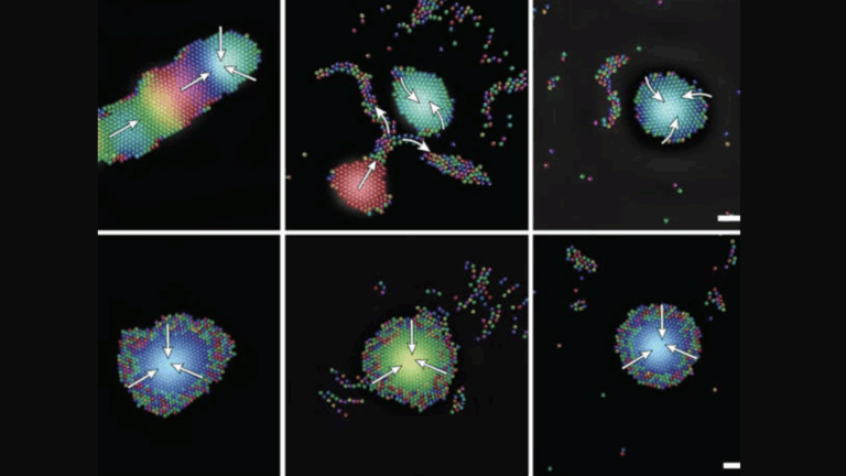 micro-robots-harness-sound-waves-for-self-organization-breakthrough