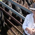 new-angus-beef-definition-boosts-opportunities-for-australian-farmers