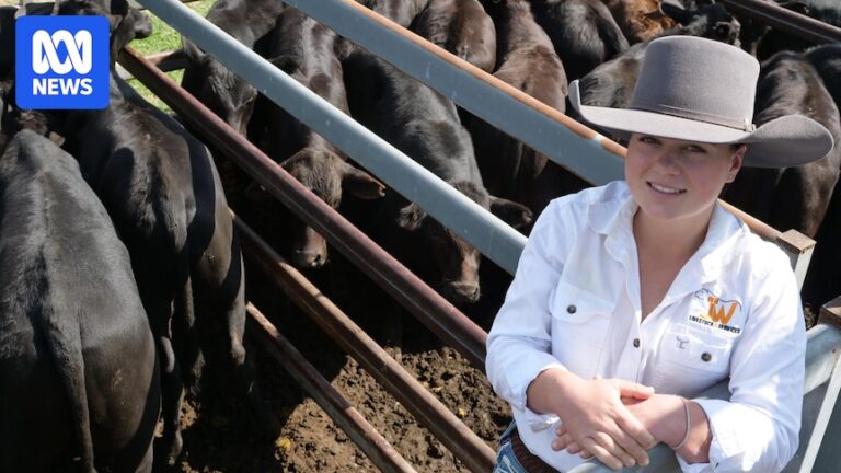 new-angus-beef-definition-boosts-opportunities-for-australian-farmers