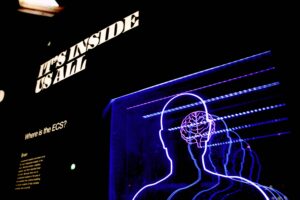 new-brain-cell-discovery-offers-hope-for-multiple-sclerosis-treatment