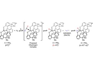 new-pathway-in-chemical-reactions-unveiled-by-penn-state-researchers