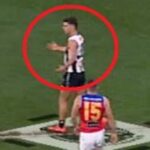 nick-daicos-criticized-amid-concerns-of-collingwood-s-overreliance