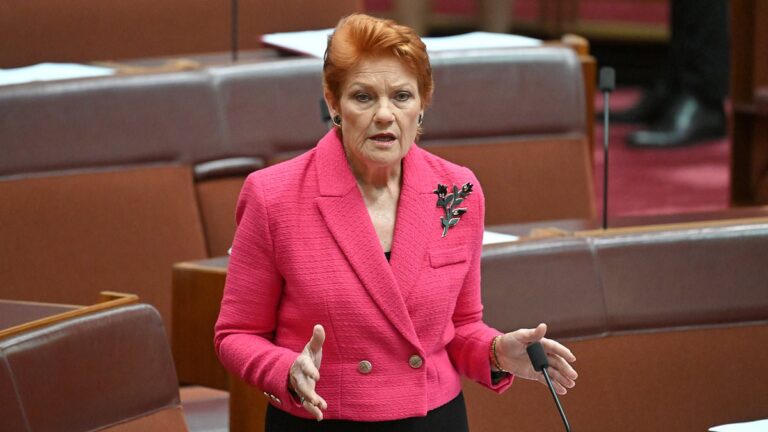 pauline-hanson-demands-audit-of-aboriginal-grants-amid-compliance-concerns