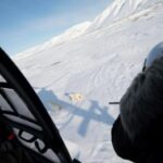 polar-bears-and-climate-change-new-research-sheds-light-on-adaptation
