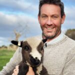 polwarth-sheep-the-rise-of-naturally-colored-wool-in-global-crafting