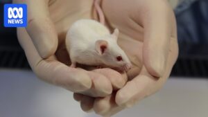 proposed-plastics-plant-threatens-vital-research-at-garvan-institute