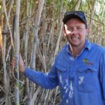 queensland-farmers-turn-to-sugarcane-amid-changing-agricultural-landscape