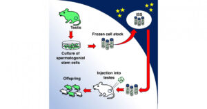 space-mice-study-offers-insight-into-reproductive-health-in-space