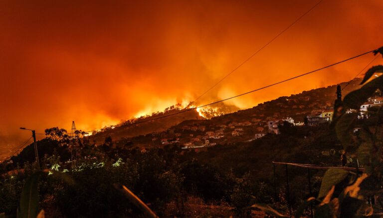 study-reveals-67-surge-in-deaths-from-2023-hawai-i-wildfires
