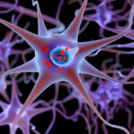 study-reveals-hypoxia-s-potential-in-reversing-parkinson-s-brain-damage