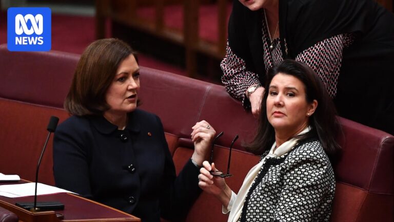 sussan-ley-faces-internal-challenges-amid-liberal-party-turmoil