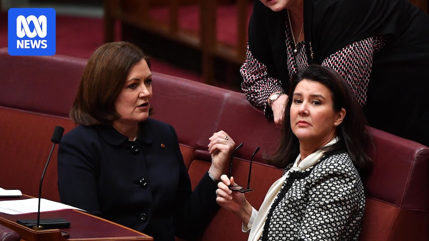sussan-ley-faces-internal-challenges-amid-liberal-party-turmoil