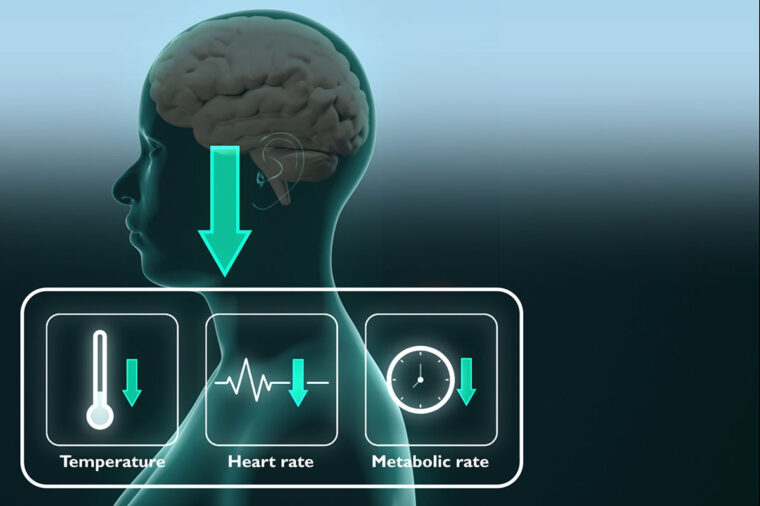 synthetic-torpor-a-revolutionary-approach-to-medical-innovation