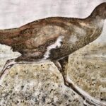 tasmanian-museum-s-unique-art-contest-aims-to-destigmatize-faeces