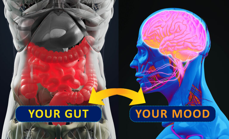 Gut-brain,Connection,Or,Gut,Brain,Axis.,Concept,Art,Showing,A