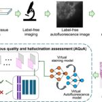 ucla-s-ai-tool-revolutionizes-digital-pathology-with-near-perfect-accuracy