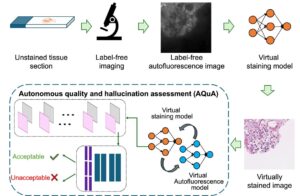 ucla-s-ai-tool-revolutionizes-digital-pathology-with-near-perfect-accuracy