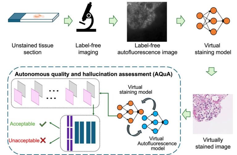 ucla-s-ai-tool-revolutionizes-digital-pathology-with-near-perfect-accuracy