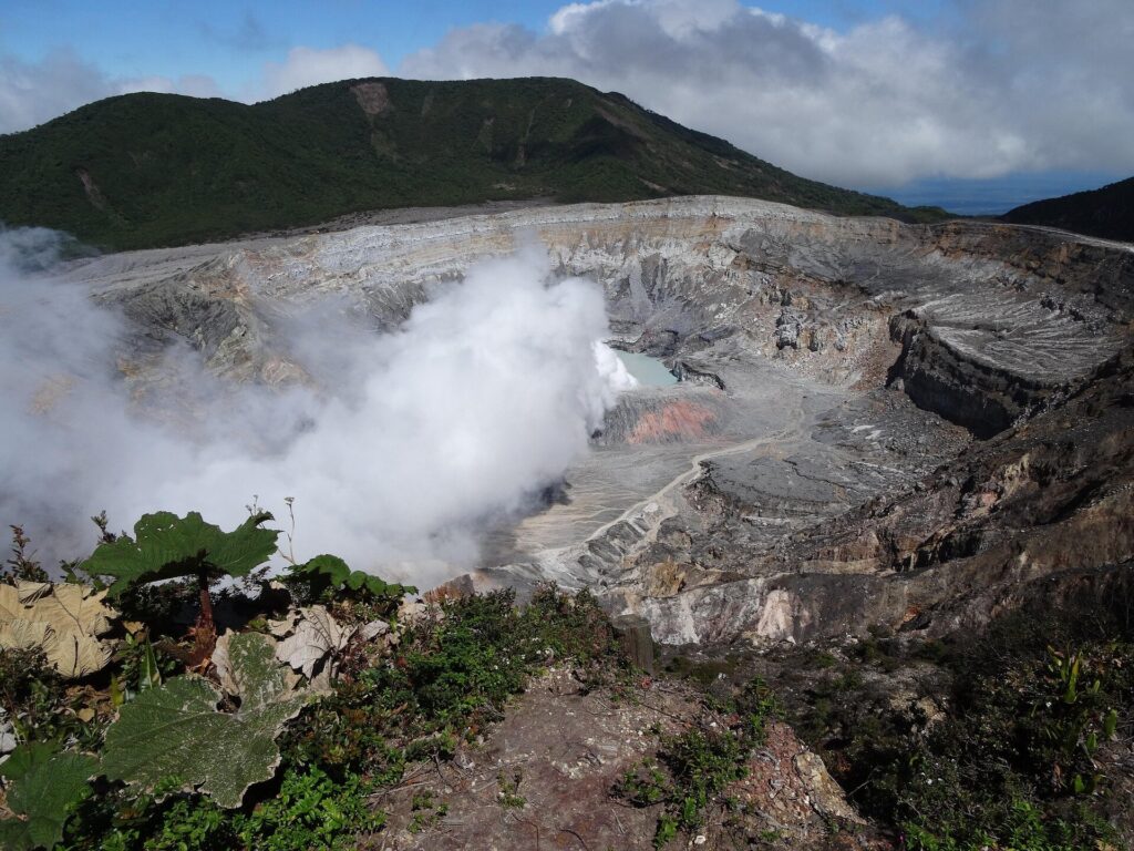 unveiling-earth-s-hidden-biosphere-the-secret-lives-of-deep-earth-microbes