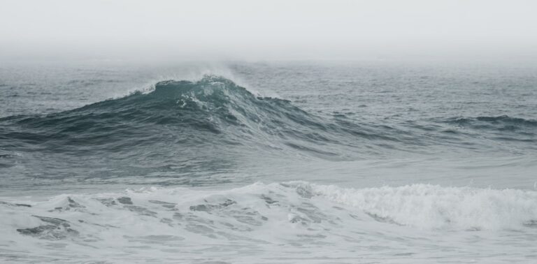 unveiling-the-mystery-of-rogue-waves-new-insights-from-18-years-of-data