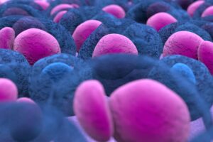 vutara-vxl-revolutionizing-single-molecule-imaging-with-precision-and-versatility