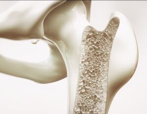 young-blood-serum-requires-bone-marrow-for-effective-skin-rejuvenation