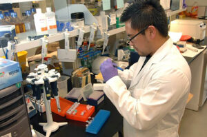 ai-tool-targets-predatory-science-journals-unveils-over-1-400-suspects