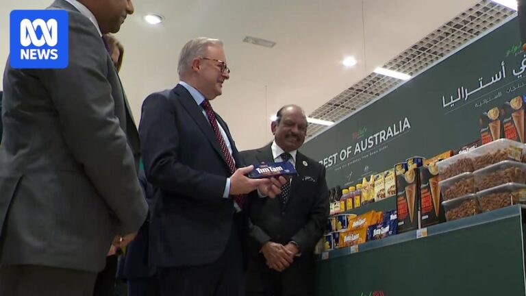 albanese-invites-lulu-hypermarket-to-challenge-australian-retail-giants
