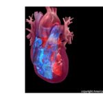american-heart-association-launches-initiative-to-improve-heart-failure-care
